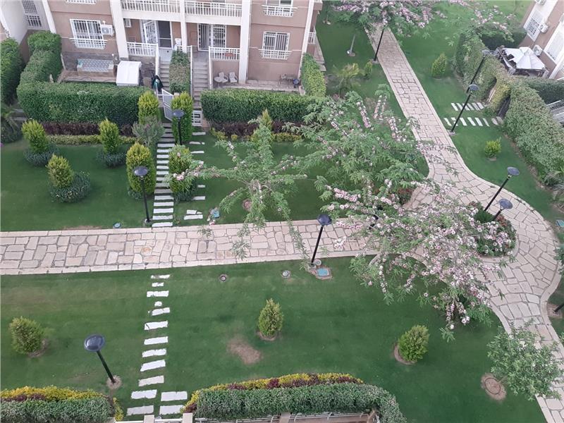 شقة فى مدينتى 82 م2 بحرى للايجار مفروش كود 23015 - صورة 1