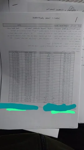 فيلا فى مشروع نور - حدائق العاصمة الادارية 234 م2 بحرى للبيع تقسيط كود 54135