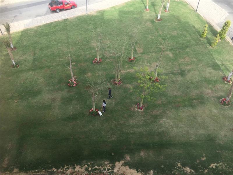 شقة فى مدينتى 110 م2 للايجار مفروش كود 20661 - صورة 1