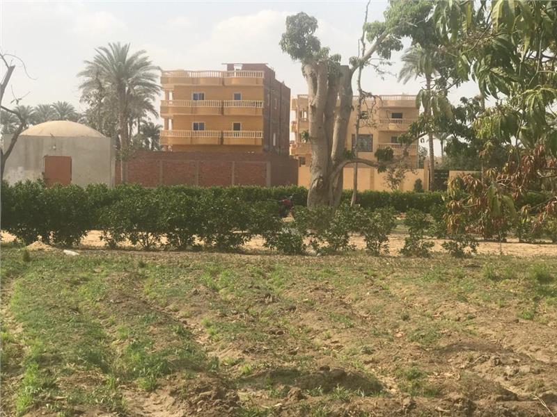 فرصة لراغبي الاستثمار والتطوير العقاري ارض فى الهرم 3000 م2 بحرى للبيع كاش كود 39790 - صورة 1
