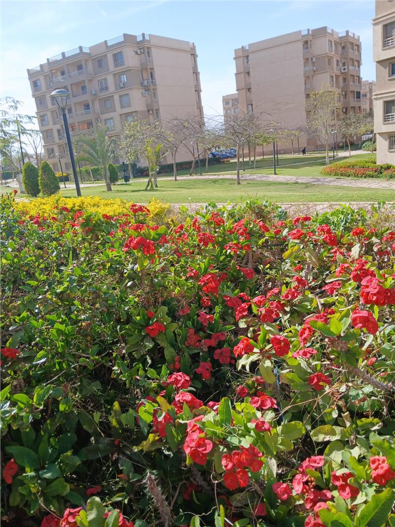 شقة فى مدينتى 90 م2 بحري وشرقي للبيع كاش كود 55166 - صورة 1