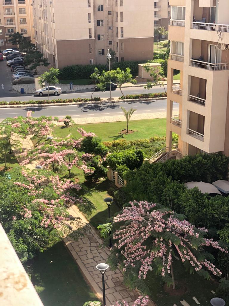 شقة فى مدينتى 70 م2 بحرى للايجار مفروش كود 54463 - صورة 1