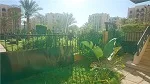 شقة فى مدينة الرحاب 60 م2 بحرى للايجار مفروش كود 40022