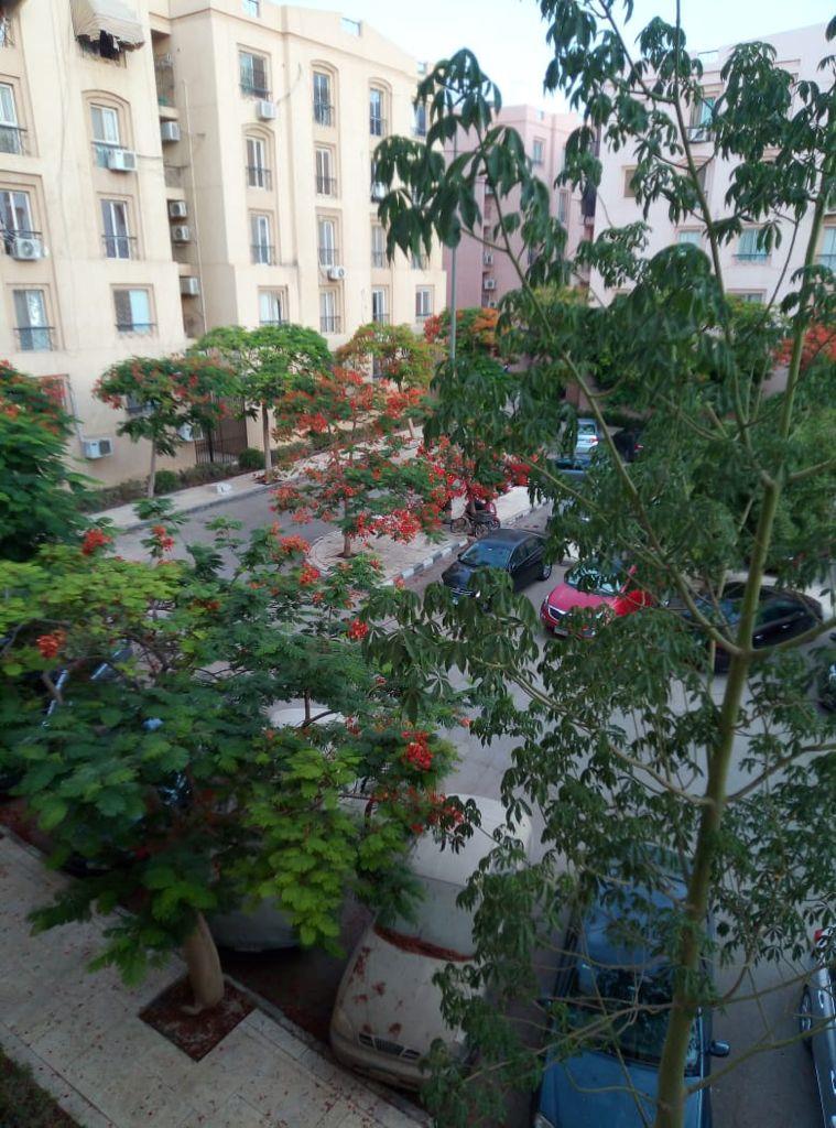 شقة فى مدينة الرحاب 108 م2 بحرى للايجار مفروش كود 43302 - صورة 1
