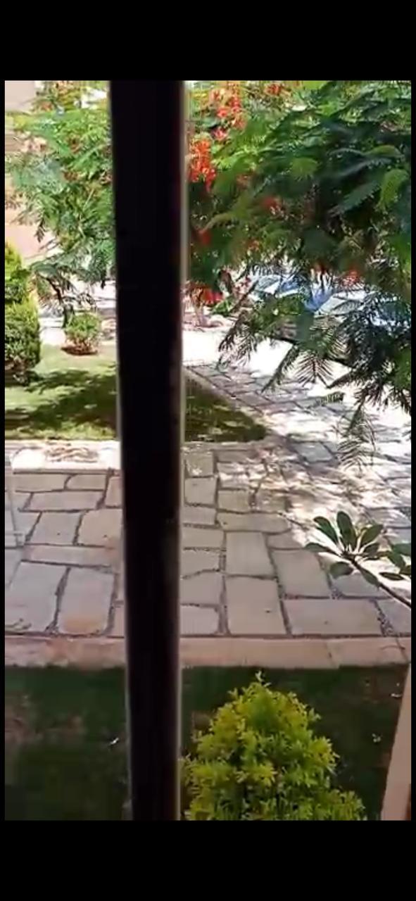 شقة فى مدينتى 59 م2 شرقى للايجار مفروش كود 2213 - صورة 1