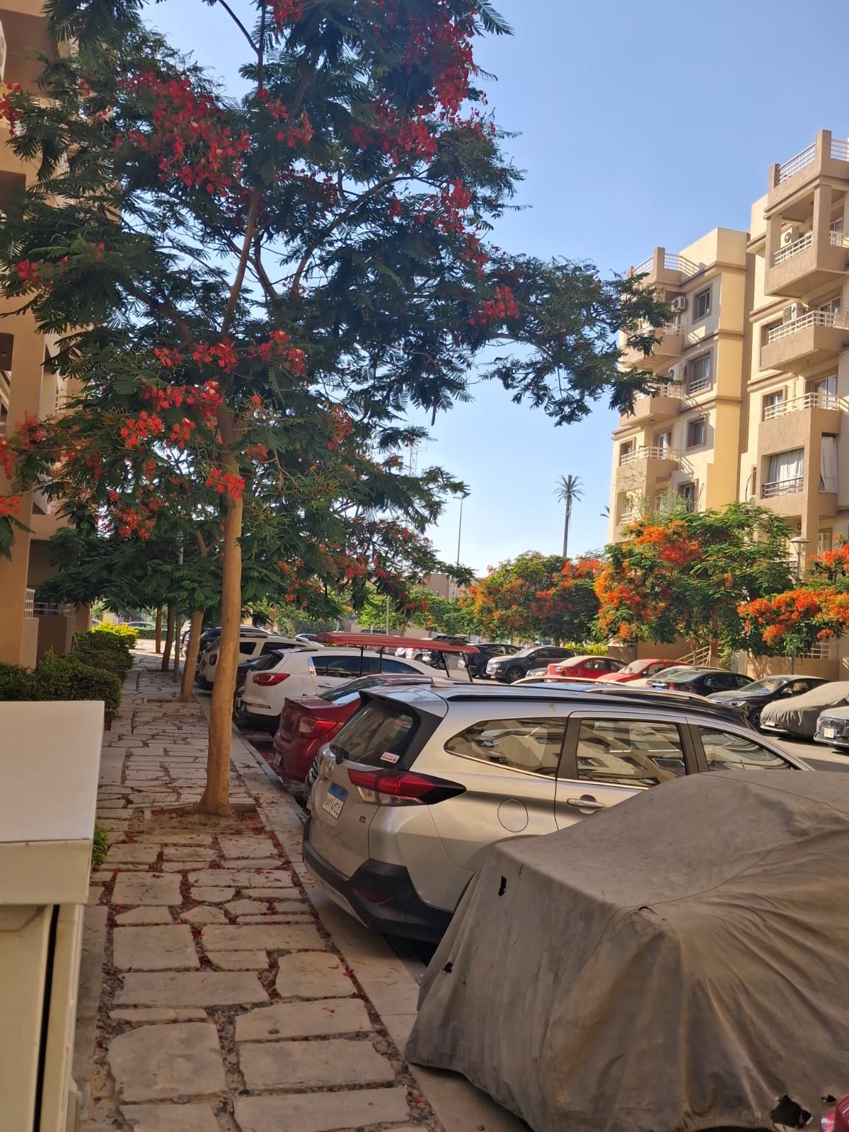 شقة فى مدينتى 124 م2 بحرى للبيع كاش كود 55722